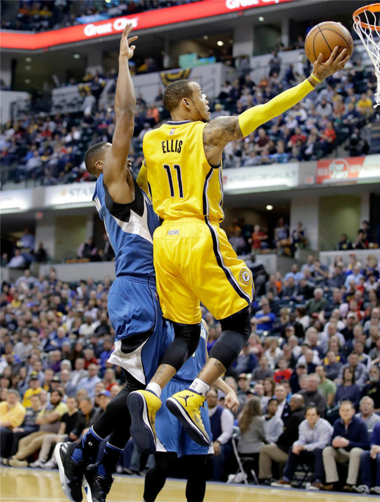 适应全球马 适应全球马